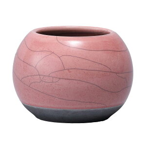 yΖӃZ[zAؔ  ~[~/_--sN/MJ-021Piy01z[6] K[fjOE|pi t[|bg EZ~bN