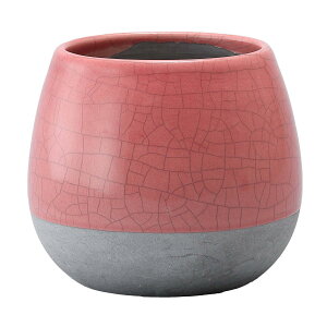 ~[~/_--ӂsNS/MJ-030SPiy01z K[fjOE|pi AؔEt[|bg EZ~bN