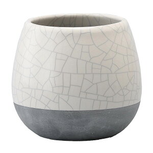 Aؔ  ~[~/_--ӂ甒S/MJ-030SWhy01z K[fjOE|pi t[|bg EZ~bN