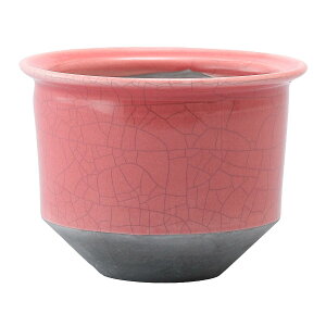 yΖӃZ[zAؔ  ~[~/_--Ђ炫sNM/MJ-025MPiy01z K[fjOE|pi t[|bg EZ~bN