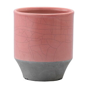 Aؔ  ~[~/_--g[sN/MJ-026Piy01z K[fjOE|pi t[|bg EZ~bN