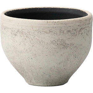 ~[~/n--ݍ/BJ-036Bky01z[4] K[fjOE|pi AؔEt[|bg EZ~bN