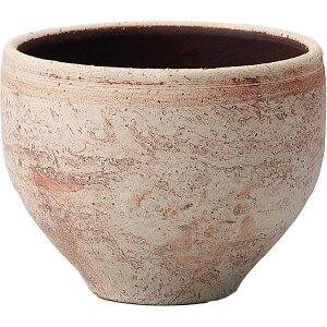 ~[~/n--ݒ/BJ-036Bry01z[4] K[fjOE|pi AؔEt[|bg EZ~bN