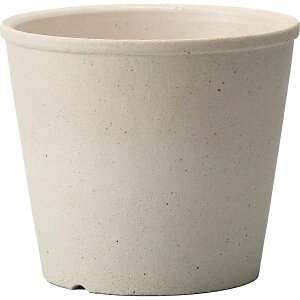 ~[~/n--EhM/CZ-004MWhy01z K[fjOE|pi AؔEt[|bg EZ~bN