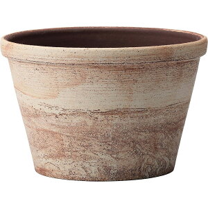 ~[~/n--EhEL/CZ-005LBry01z K[fjOE|pi AؔEt[|bg EZ~bN