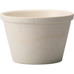 ~[~/n--EhEL/CZ-005LWhy01z K[fjOE|pi AؔEt[|bg EZ~bN