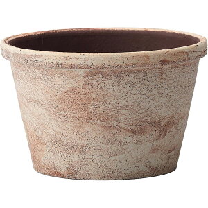 ~[~/n--EhES/CZ-005SBry01z[2] K[fjOE|pi AؔEt[|bg EZ~bN