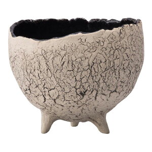 Aؔ  ~[~/V-܂-tM/MJ-023My01z[2] K[fjOE|pi t[|bg EZ~bN