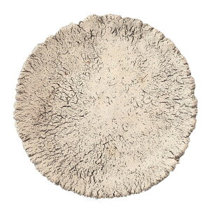 yΖӃZ[zAؔ  ~[~/V-܂-MM/MJS-001My01z K[fjOE|pi t[|bg EZ~bN