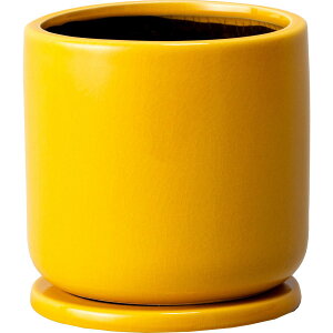 ~[~/NmXL/CF-008LYey01z K[fjOE|pi AؔEt[|bg EZ~bN