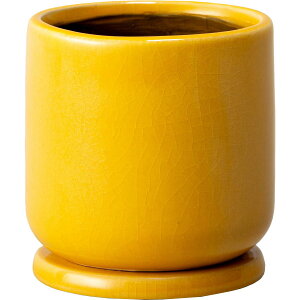 ~[~/NmXS/CF-008SYey01z K[fjOE|pi AؔEt[|bg EZ~bN