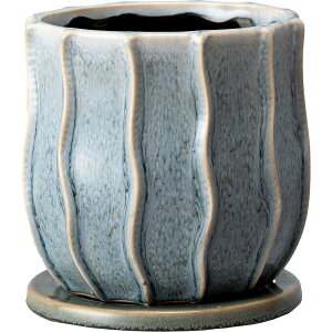 Aؔ  ~[~/TeBL/CF-007LBly01z[2] K[fjOE|pi t[|bg EZ~bN