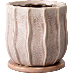 Aؔ  ~[~/TeBM/CF-007MPuy01z[2] K[fjOE|pi t[|bg EZ~bN