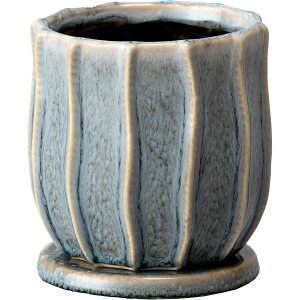 yΖӃZ[zAؔ  ~[~/TeBS/CF-007SBly01z[4] K[fjOE|pi t[|bg EZ~bN