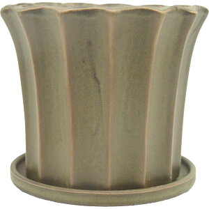 ~[~/T[S/CJY-001SBry01z[6] K[fjOE|pi AؔEt[|bg EZ~bN