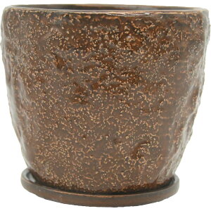 Aؔ  ~[~/AJL/CJY-005LBry01z[2] K[fjOE|pi t[|bg EZ~bN