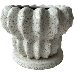 ~[~/{AS/CF-010SWhy01z[4] K[fjOE|pi AؔEt[|bg EZ~bN