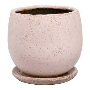 Aؔ  ~[~/AWFsNXL/CF-001HLPiy01z[6] K[fjOE|pi t[|bg EZ~bN