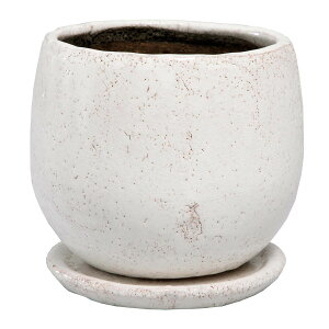 Aؔ  ~[~/AWFLL/CF-001HWhy01z K[fjOE|pi t[|bg EZ~bN