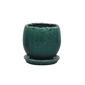 ~[~/AWFL/CF-001LBly01z K[fjOE|pi AؔEt[|bg EZ~bN