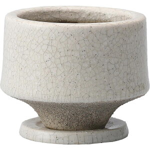 Aؔ  ~[~/-܂-S/CX612Why01z[12] K[fjOE|pi t[|bg EZ~bN