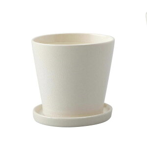 yΖӃZ[zAؔ  ~[~/xS/CH-034Why01z[12] K[fjOE|pi t[|bg EZ~bN