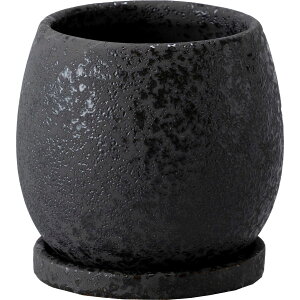 Aؔ  ~[~/\M/MS-001MBky01z[8] K[fjOE|pi t[|bg EZ~bN