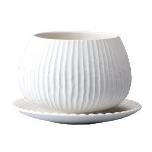 Aؔ  ~[~/sX{ES/CQ-032Why01z[8] K[fjOE|pi t[|bg EZ~bN