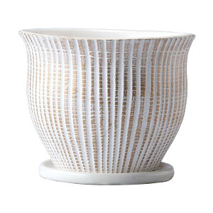 Aؔ  ~[~/}ObgM/CR011MWhy01z[8] K[fjOE|pi t[|bg EZ~bN