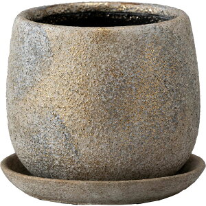 yΖӃZ[zAؔ  ~[~/Zm[eM/SG-007MGoy01z[2] K[fjOE|pi t[|bg EZ~bN