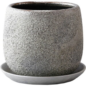 Aؔ  ~[~/Zm[eM/SG-007MSiy01z[2] K[fjOE|pi t[|bg EZ~bN