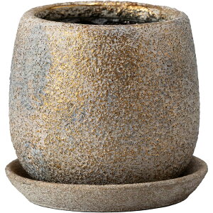 yΖӃZ[zAؔ  ~[~/Zm[eS/SG-007SGoy01z[4] K[fjOE|pi t[|bg EZ~bN