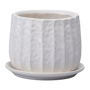 Aؔ  ~[~/x}bgM/SG-001MMWy01z K[fjOE|pi t[|bg EZ~bN