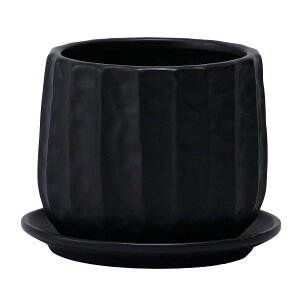 �y�Ζ����ӃZ�[���z�A�ؔ� ������� �~���[���~��/���x�����}�b�gS/SG-001SMB�y01�z[12��] �K�[�f�j���O�E���|�p�i �t�����[�|�b�g ����E�Z���~�b�N��