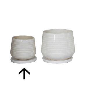 yΖӃZ[zAؔ  ~[~/S/CB-185SWhy01z[12] K[fjOE|pi t[|bg EZ~bN