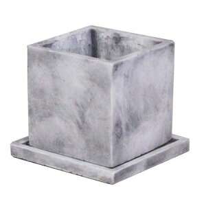 ~[~/}JM/CX608My01z[8] K[fjOE|pi AؔEt[|bg Zg