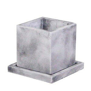 ~[~/}JS/CX608Sy01z[12] K[fjOE|pi AؔEt[|bg Zg