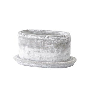 Aؔ  ~[~/[b^I[@S/CX2001SWhy01z[4] K[fjOE|pi t[|bg Zg