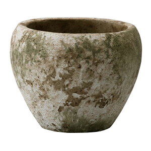 ~[~/Wk[hAeB[NS/CGM023SAny01z[12] K[fjOE|pi AؔEt[|bg Zg