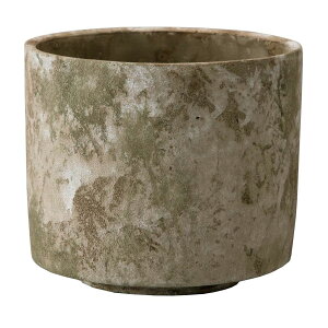 Aؔ  ~[~/WV_[AeB[NS/CGM024SAny01z[12] K[fjOE|pi t[|bg Zg