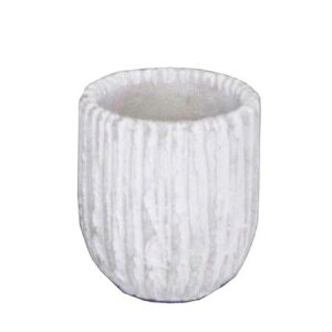 �~���[���~��/�I�x���X�N���E���h�x�[�W��S/CGM003SBe�y01�z[12��] �K�[�f�j���O�E���|�p�i �A�ؔ��E�t�����[�|�b�g �Z�����g�� �� �O�b�Y ���� �ƒ�؉� �ϗt�A�� ������� ���킢�� ������ ��