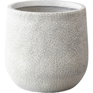 Aؔ  ~[~/x[iAtS/CO-003SWhy01z K[fjOE|pi t[|bg OXt@Co[