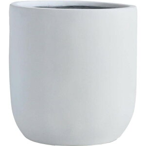 Jo[  ~[~/NI[EhL/LA-007LWhy01z K[fjOE|pi t[|bg Jo[