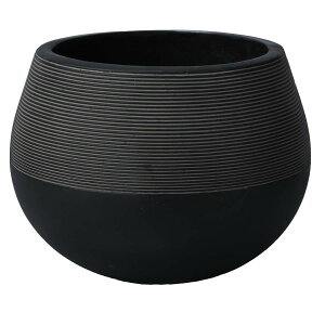 ~[~/Ws^[EhL/TL004-1LBky01z ԊA[X ԊEԕr Ԋ