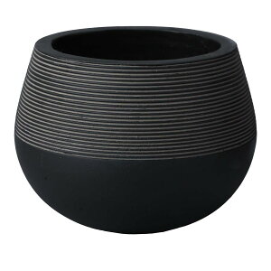 ~[~/Ws^[EhS/TL004-1SBky01z ԊA[X ԊEԕr Ԋ