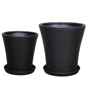 Aؔ  ~[~/Tui}bg2Psetu1ZbgFS1L1v/S002/2MBy01z K[fjOE|pi t[|bg EZ~bN