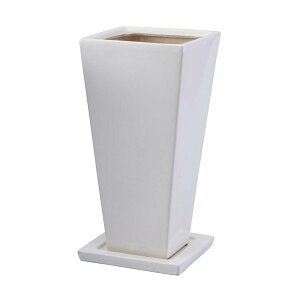 yΖӃZ[zAؔ  ~[~/tB[AL/S011LWhy01z[2] K[fjOE|pi t[|bg EZ~bN