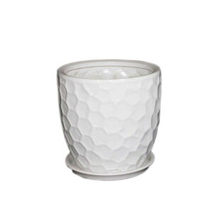 Aؔ  ~[~/T^NXg[S/S027TSWhy01z K[fjOE|pi t[|bg EZ~bN