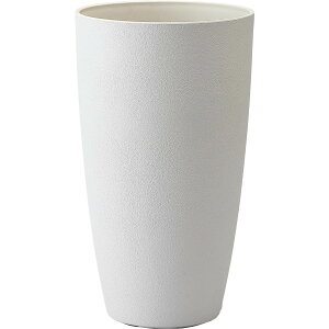 Aؔ  ~[~/tHXgg[S/CL-003SWhy01z K[fjOE|pi t[|bg GR|bg