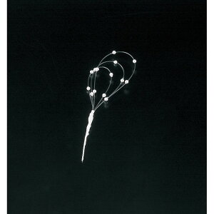 �����H�|/�r�[�Y�@2K�|300/63-1211-0�y01�z �Ԏ��ށE�t���[���X�g���� �f�R���[�V�����p�[�c�E�f�� �r�[�Y�A���C���X�g�[��